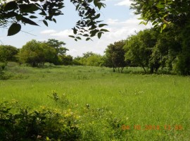 Finca Lomas de Zepeda, carretera nueva a León